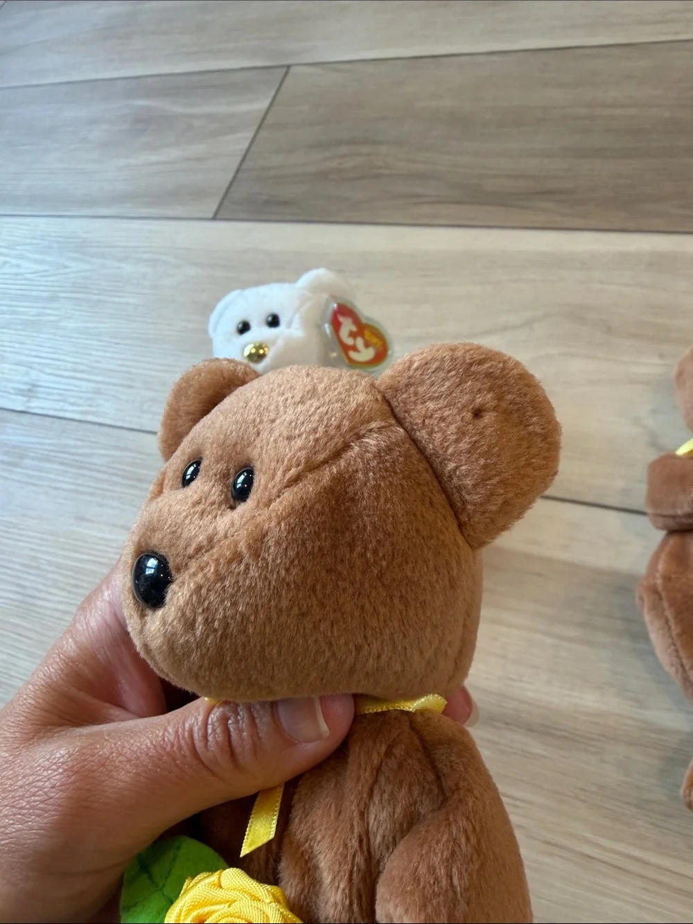 Ty 'Get Well Soon' Plush Bears - White and Brown with Green & Gold Accents
